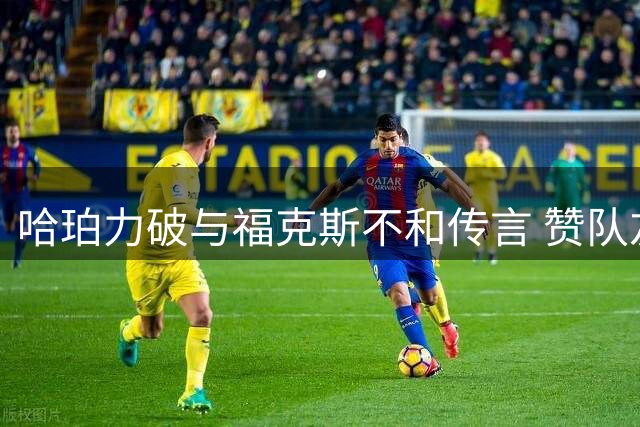 哈珀力破与福克斯不和传言 赞队友如亲兄般指导